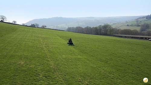 Mowing the field