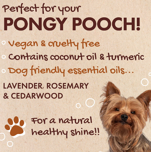 Friendly Soap’s Dog Shampoo Bars