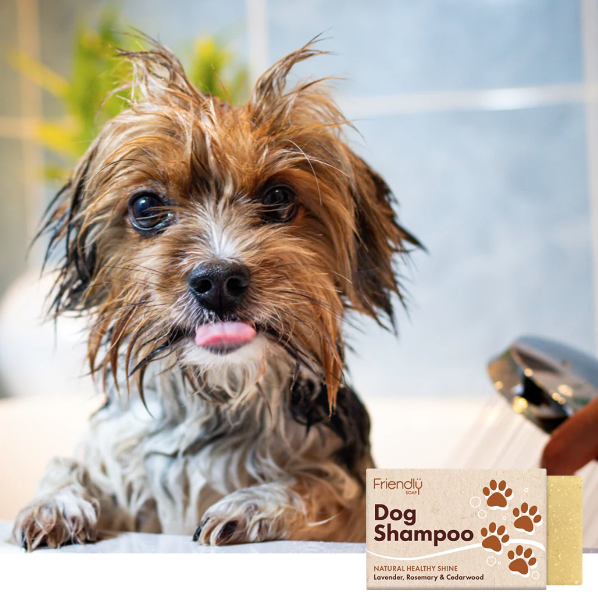 Natural dog shampoo bar from our tenants Friendly Soap