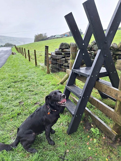 The lumber stile project at Thornber